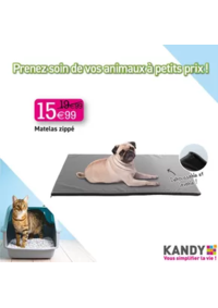 Prospectus KANDY LA GORGUE : PRENEZ SOIN DE VOS ANIMAUX A PETITS PRIX !