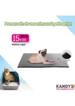 Prospectus KANDY : PRENEZ SOIN DE VOS ANIMAUX A PETITS PRIX !