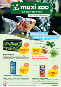 Prospectus Maxi zoo Montigny-lès-Cormeilles : Plongez dans un monde magique !