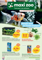 Promos et remises  : Plongez dans un monde magique !