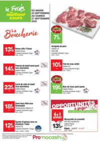 Prospectus Promocash Vesoul : Catalogue Promocash