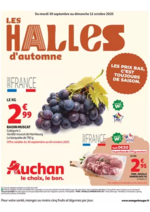 Promos et remises  : LES HALLES d'automne