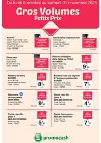 Prospectus Promocash Perigny : Cros volumes Petits Prix