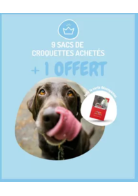 Prospectus Médor et Compagnie Le Vigen : 9 sacs de croquettes achetés + 1 sac OFFERT