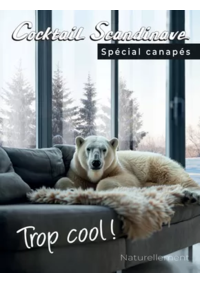 Prospectus Cocktail Scandinave Mauguio : Spécial canapés 2025