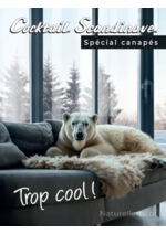 Promos et remises  : Spécial canapés 2025