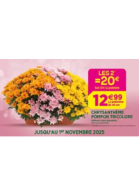 Prospectus Delbard Aubevoye : Célébrons la Toussaint ensemble !