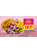 Prospectus Delbard : Célébrons la Toussaint ensemble !