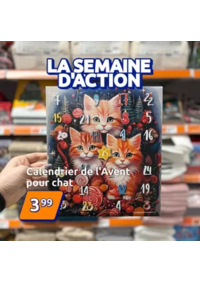 Prospectus Action St Quentin - Fayet : La nouvelle Semaine d’Action est là !