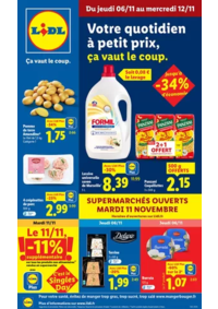 Prospectus Lidl TERRASSON-LAVILLEDIEU : Retrouvez la gamme Favorina à prix Lidl : panettone, biscuits de Noël, pâte d'amande...