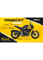 Prospectus Triumph : TRIDENT 660 à partir de 7845 €